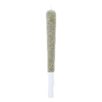 Lamplighter - Tiger Berry Infused Pre Roll