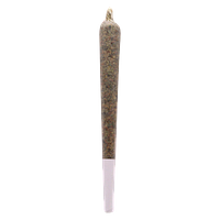Oceanic Premium - Black Cookies Pre Roll
