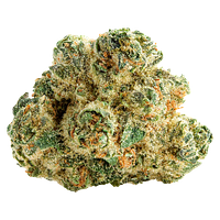 Spinach - Space Cake