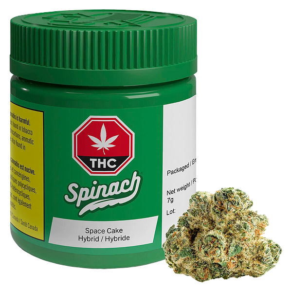 Spinach - Space Cake