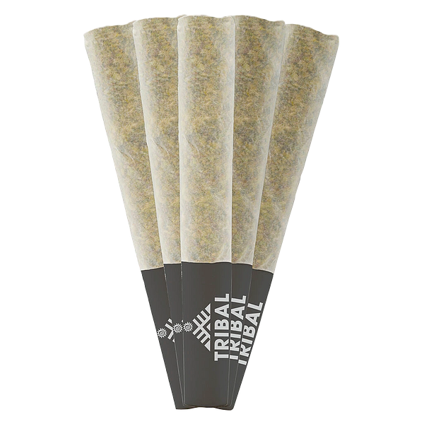 Tribal - Triple Burger Pre Roll