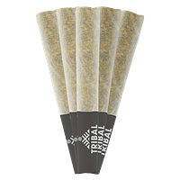 Tribal - Triple Burger Pre Roll