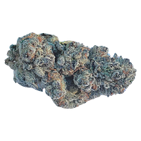 Valhalla Flwr - Cherry Cosmo