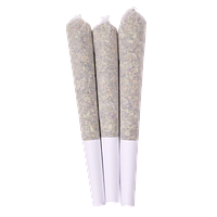 Choklit Park - Flawless Victory Pre Roll