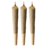 WINK - Dead Hot Strawberries Pre Rolls