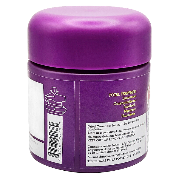 High Xotic - Royal Dive #2