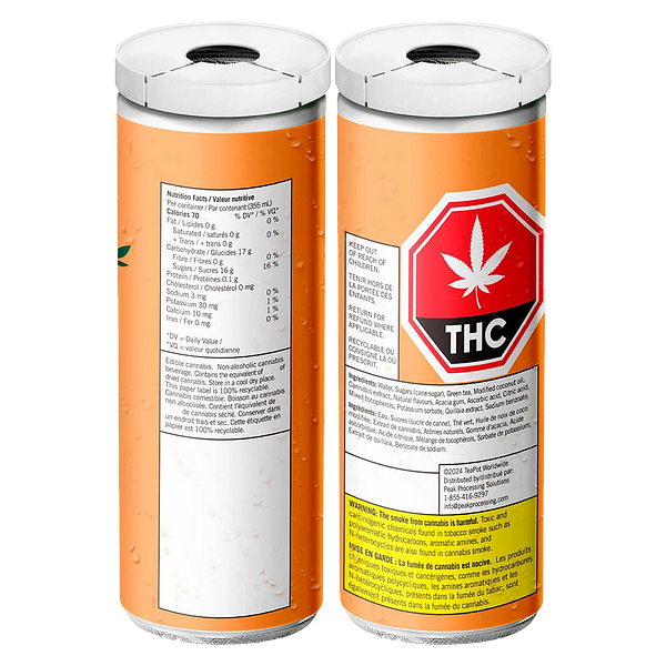 TeaPot - Good Day Iced Tea Mango Green Tea