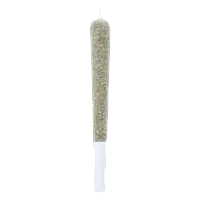 Lamplighter - Lychee Bubble Tea Infused Pre Roll