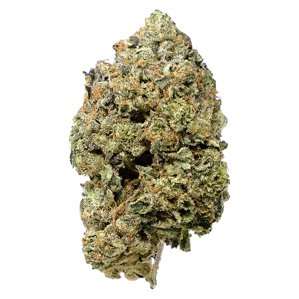 Pistol and Paris - Pink Goo