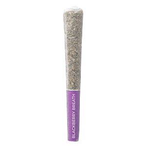 Pistol and Paris - Blackberry Breath Pre Roll