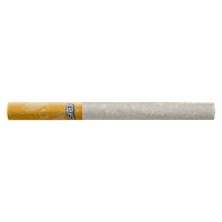 SHRED - Tropic Thunder Dartz Pre Roll