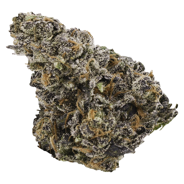 EastCann - Gastro Pop