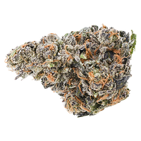 EastCann - Gastro Pop