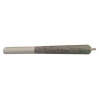 El Camino - Baby Blue Pre Roll