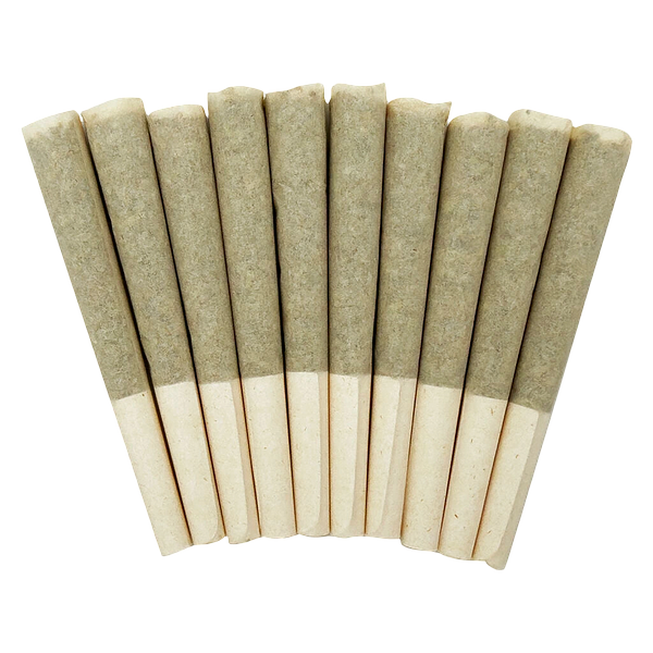 Skosha - Storm Pre Roll