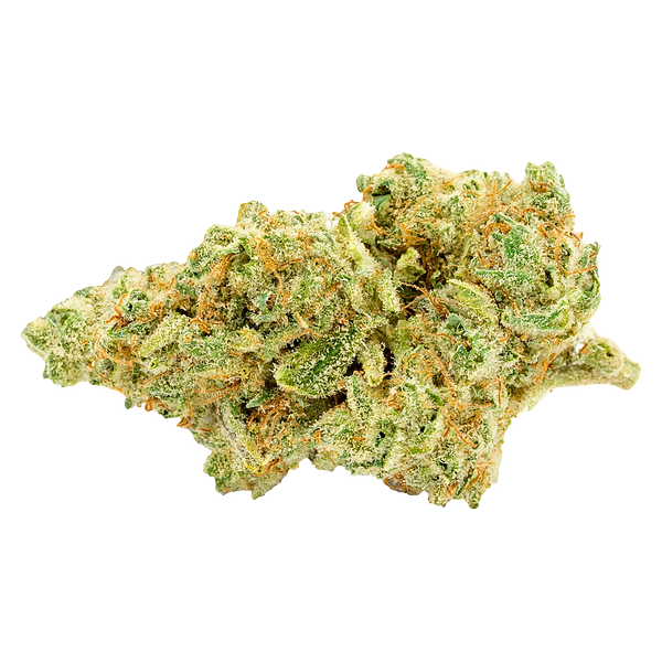 Bobs Better Buds - Animal Face #10