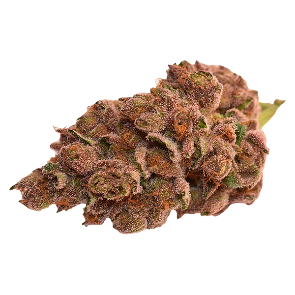 Thumbs Up - Day & Night