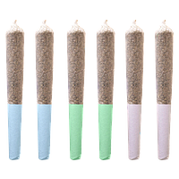 Station House - Sativa Daytime Express Pre Roll