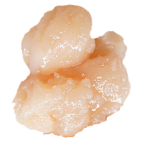 LOT420 X PERSY - Full Spectrum Cold Cured Live Rosin Batter