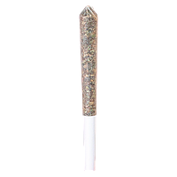 Station House - Ghost Train Haze Express Train Single Infused PreRoll