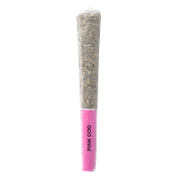 Pistol and Paris - Pink Goo Pre Roll