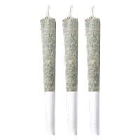 Pineapple Buds - Pineapple Haze Pre Roll