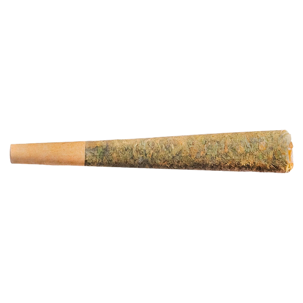 Fuego - Night Rider Pre Roll