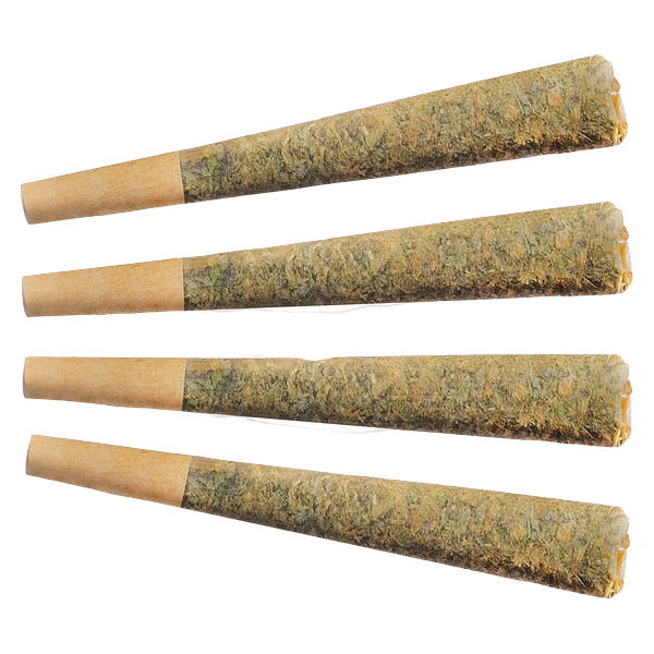 Fuego - Night Rider Pre Roll