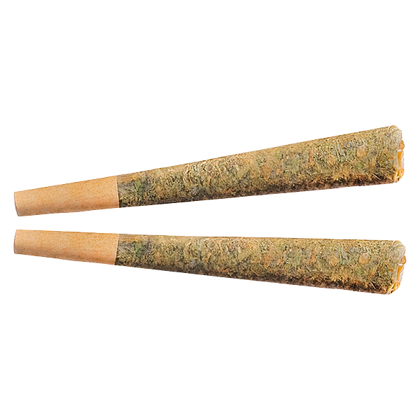 Fuego - Night Rider Pre Roll