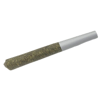 True Fire - 33 Splitter Pre Roll