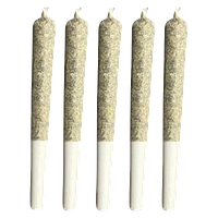 Truro - Donair Kush Pre Roll