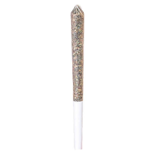 Station House - Trainwreck Single Pre Roll