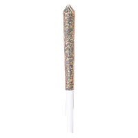 Station House - Trainwreck Single Pre Roll