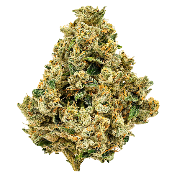 Cheers Cannabis - Strawberry Grail