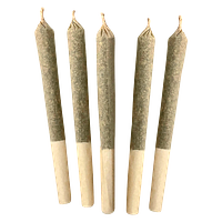 Ministry of Sativa - Durban Diesel Pre Roll