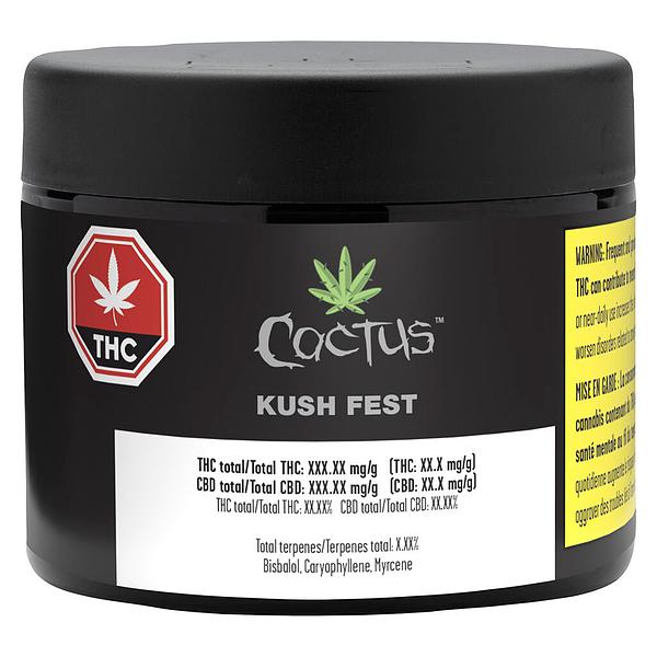 Cactus - Kush Fest image 2