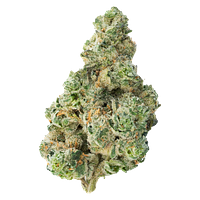 The Loud Plug - Cherry Diesel