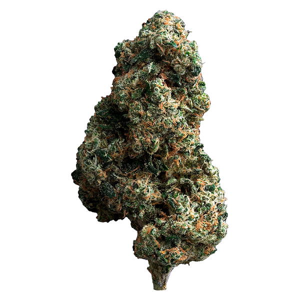 The Loud Plug - Cherry Diesel