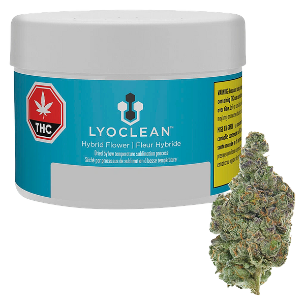 Lyoclean - Sublimed Flower