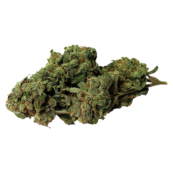 Bambu Select - Double Donny