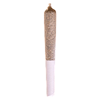 Station House - Blue Dream Express Infused Pre Roll
