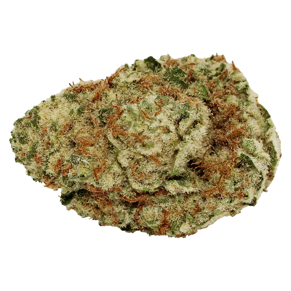 Tam Tams - Cherry Bloom