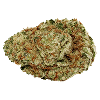 Tam Tams - Cherry Bloom