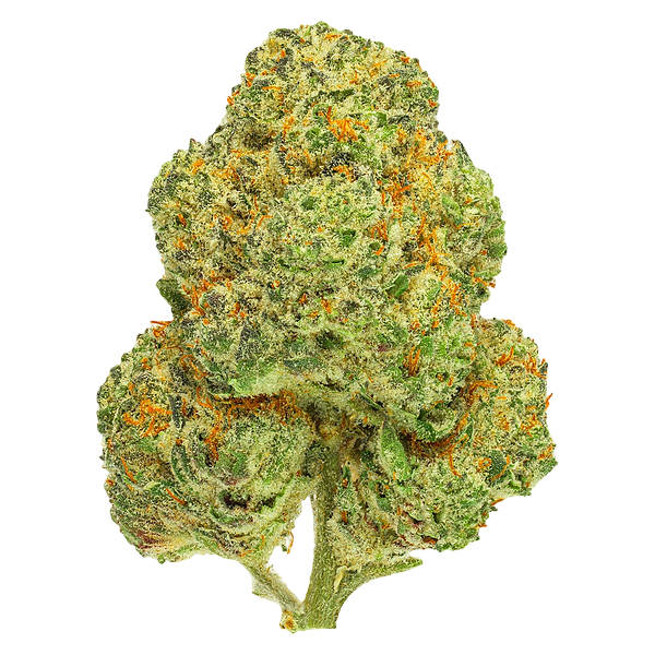 San Rafael '71 - Chemango Kush