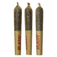 Dab Bods - Sweet Island Coconut Disti Joints