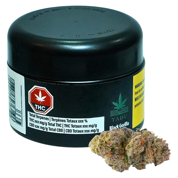 TADU - Black Gorilla