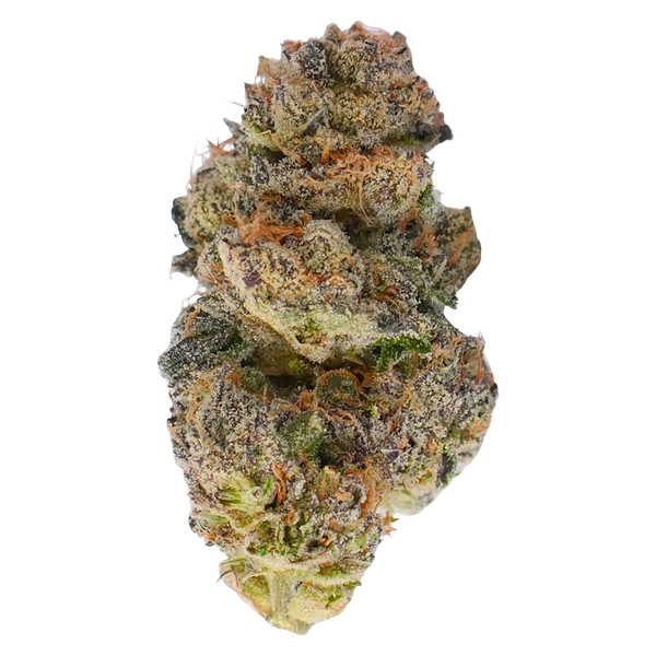 TADU - Black Gorilla