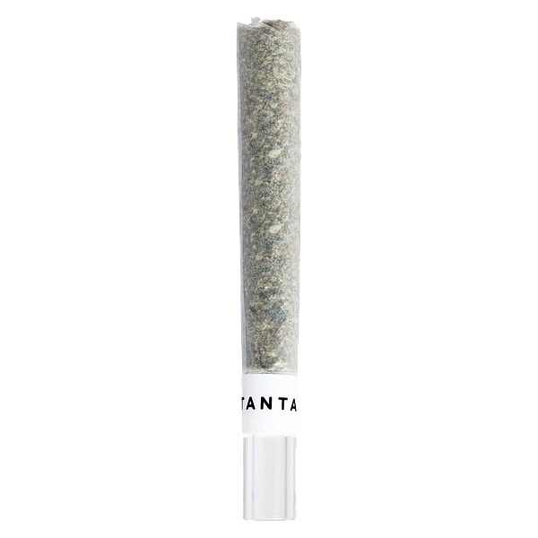 Tantalus - Mai Tai X Zero Gravity Glass Tip Pre Roll