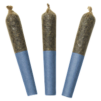 Dab Bods - Blue Lobster 60's+ Dbl Infused Pre Roll