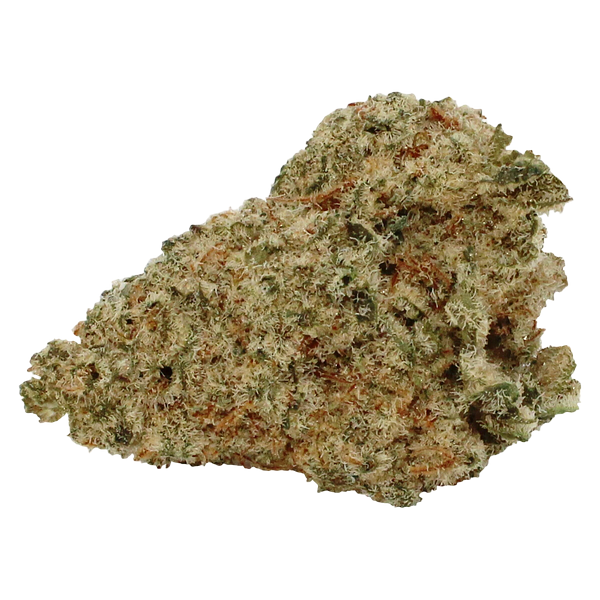 Pure Laine - Little Pleasures